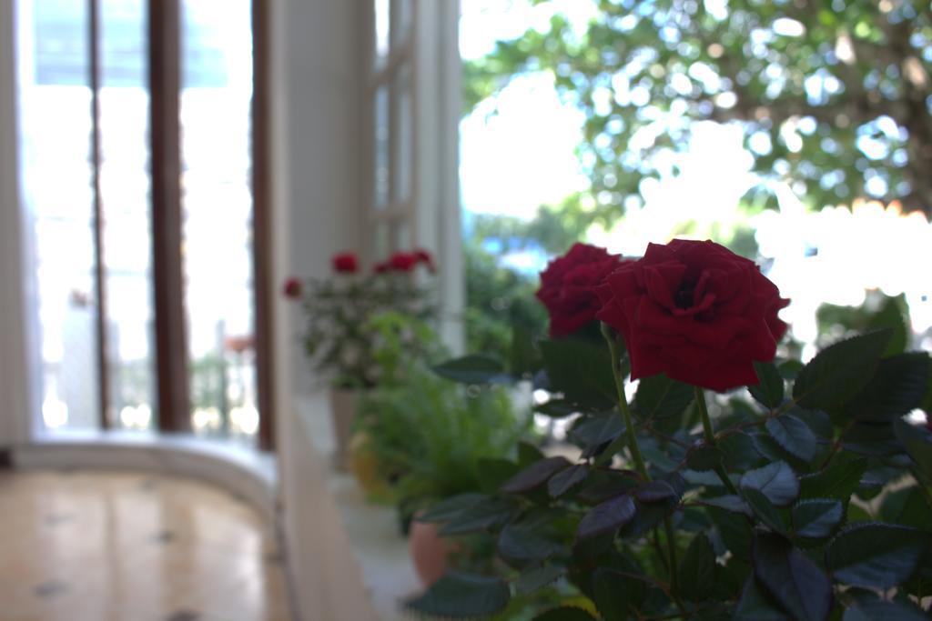 Des Ami Villa Vung Tau Extérieur photo