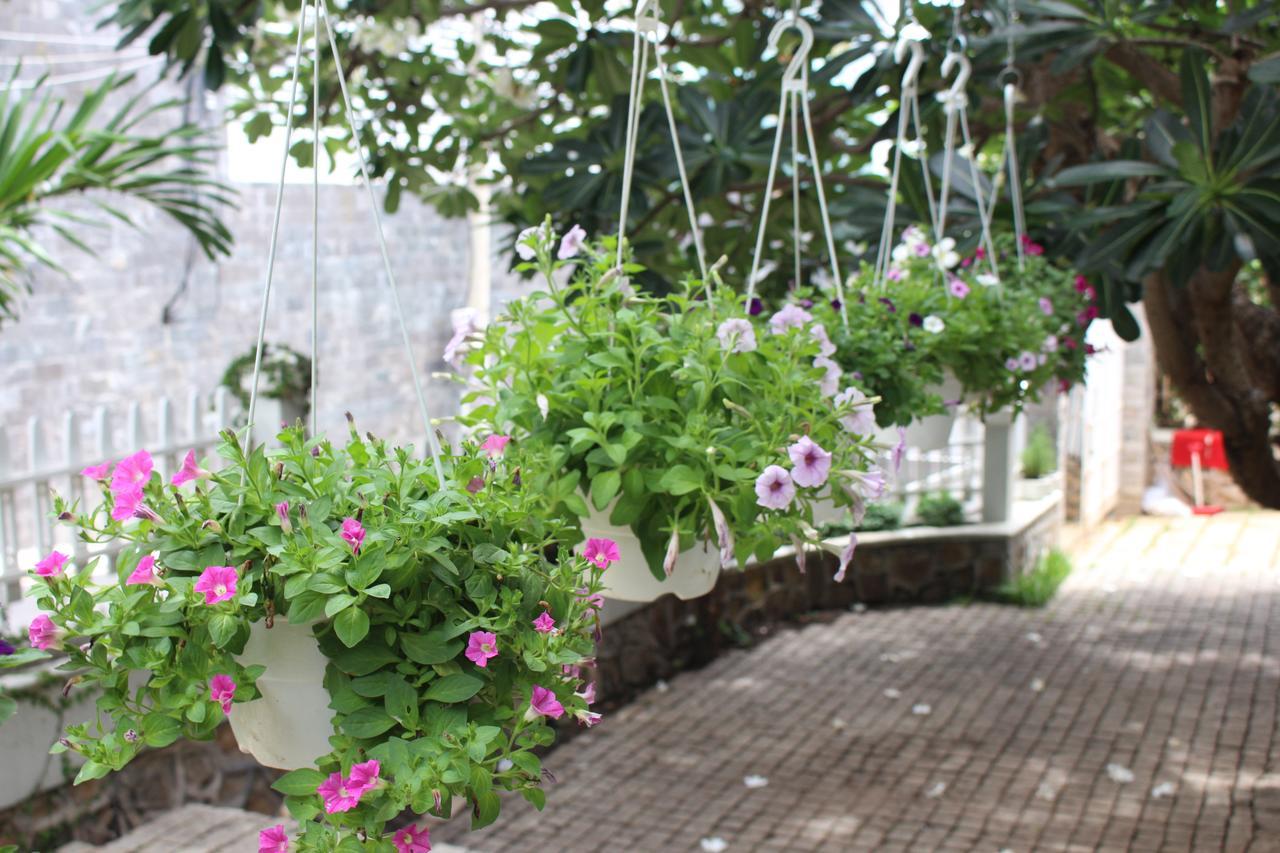 Des Ami Villa Vung Tau Extérieur photo